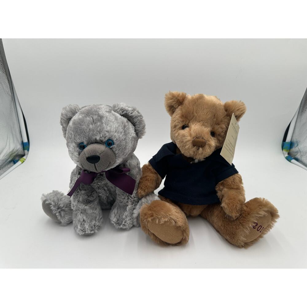 NWT Burberry 2010 Teddy Bear